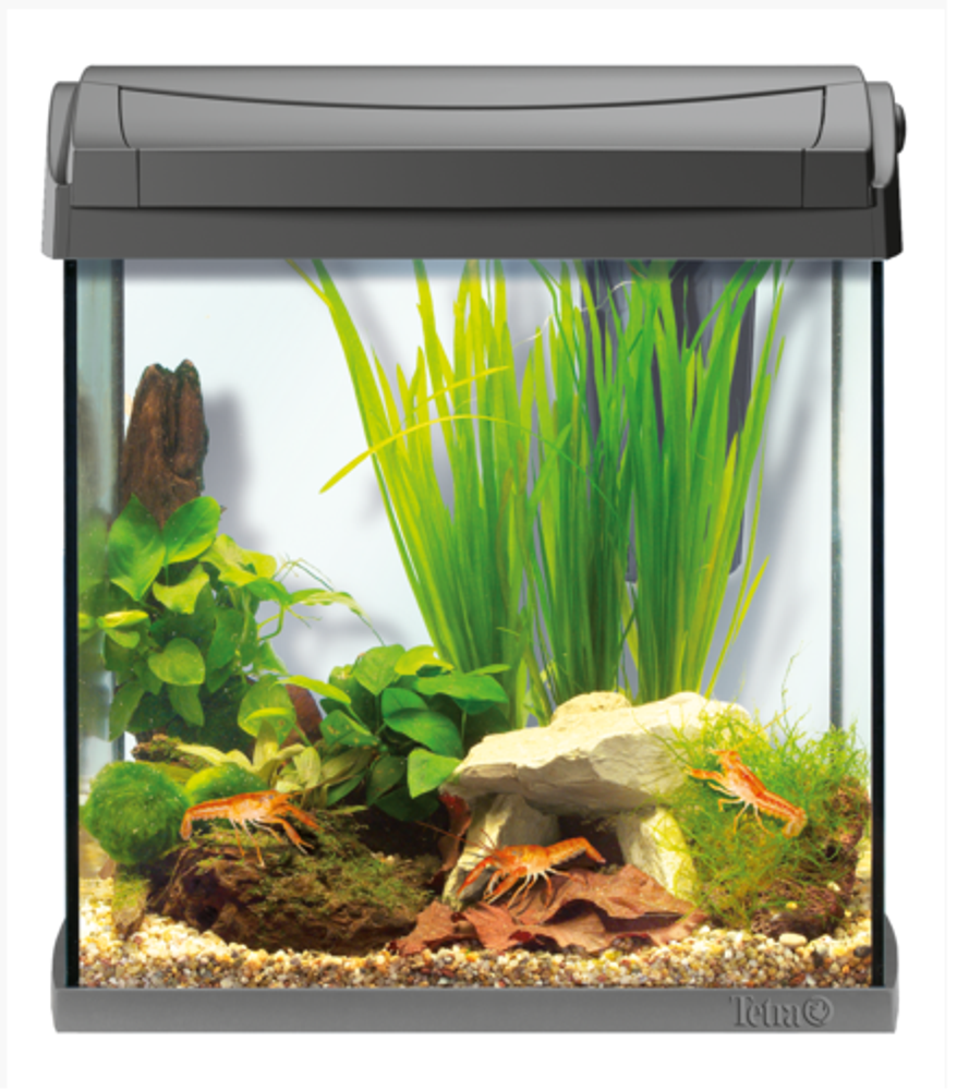 Аквариум для раков AquaArt Crayfish Discover Line 30л 38х26х42см