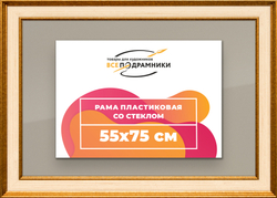 Рамка 55x75 для постера и фотографий