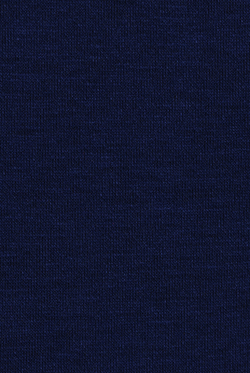 Платье-туника 2442ЛПА, темно-синий #159ТС212442ЛП