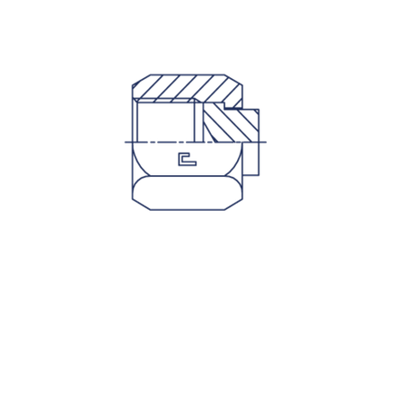 Заглушка V (Г) ORFS 1.7/16
