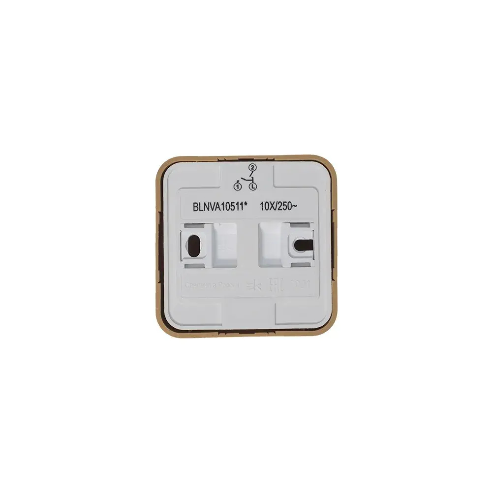 BLANCA О/У 2-клавишный ВЫКЛЮЧАТЕЛЬ (сх.5) с подсветкой, ИЗОЛ.ПЛ, 10А, 250В, ЯСЕНЬ