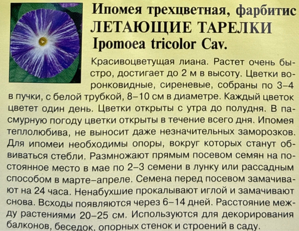 Ипомея Летающие тарелки 0,5 г СМЦ-523