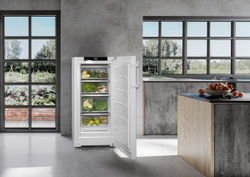 Холодильник Liebherr RBa30 425i