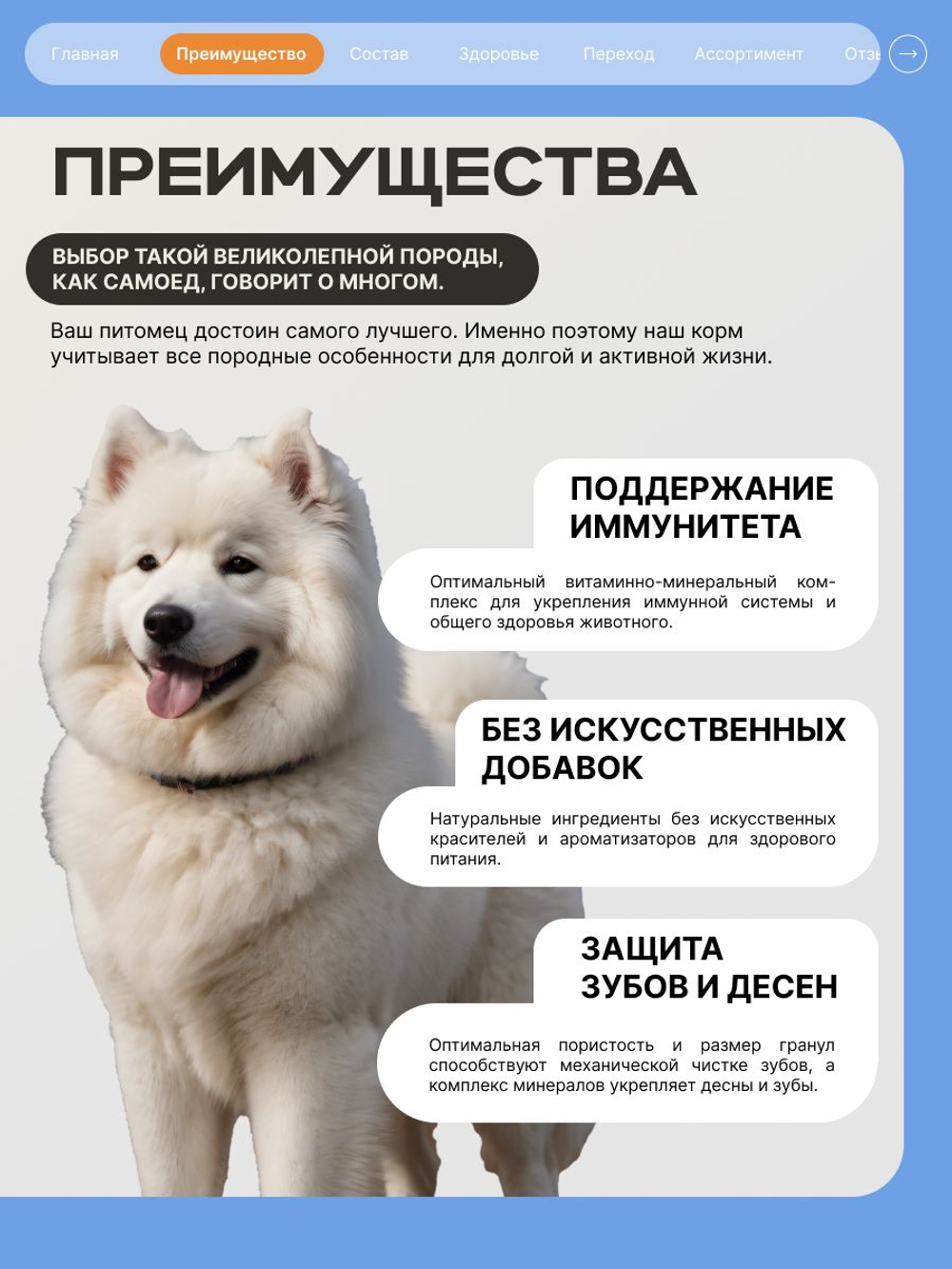 Корм сухой для взрослых собак породы Самоед, премиум полнорационный комплекс, с индейкой, 12 кг, QUATTRO
