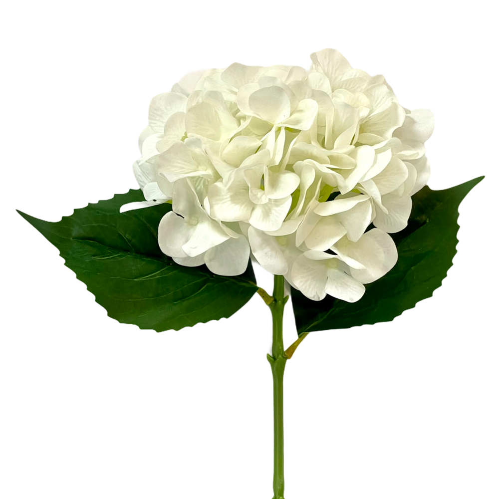 Гортензия белая 66 см