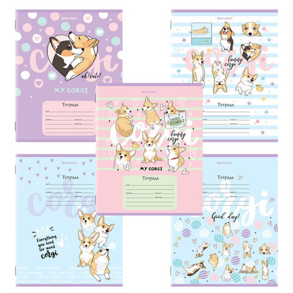Тетрадь 12 л. BRAUBERG, клетка, обложка картон, "КОРГИ", 106460, 5шт