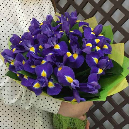Купить Букет из ирисов