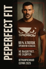 Футболка Bad Boy Prime Walkout 3.0 T-shirt кофейный