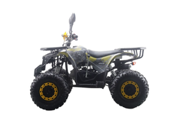 Квадроцикл MOTAX ATV Grizlik Premium 125