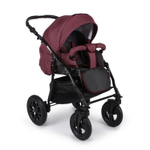 Коляска 2 в 1 Alis Berta