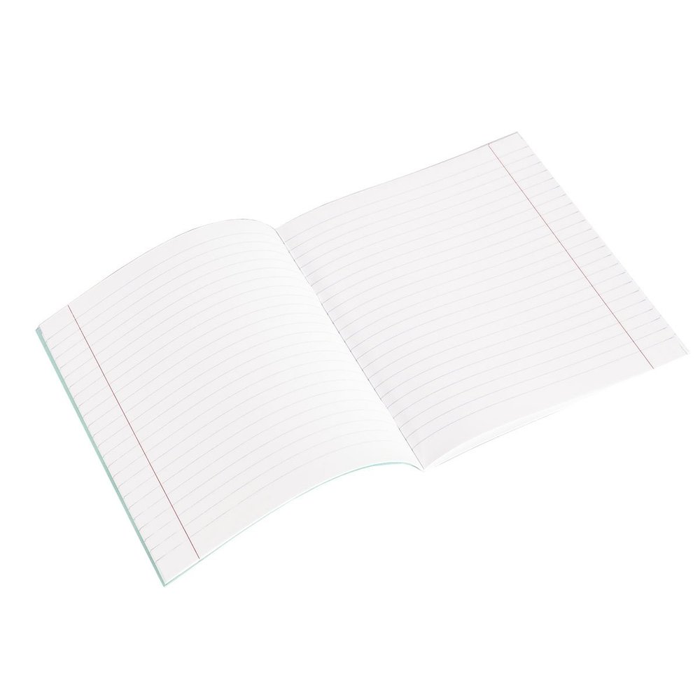 Тетрадь школьная 24л., линия, Alingar, скрепка, офсет