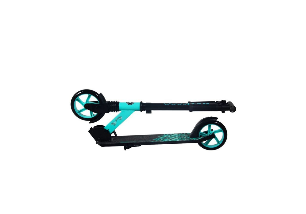 Maxiscoo "Pond Pro" (2024)