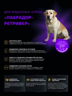 Сухой корм для собак Лабрадор-ретривер, говядина, 12кг