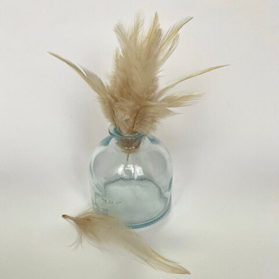 Перья петуха крафт 10 - 15 см. 20 шт.