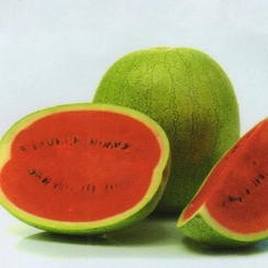 Сонгаи F1 семена арбуза (Sakata / Саката)