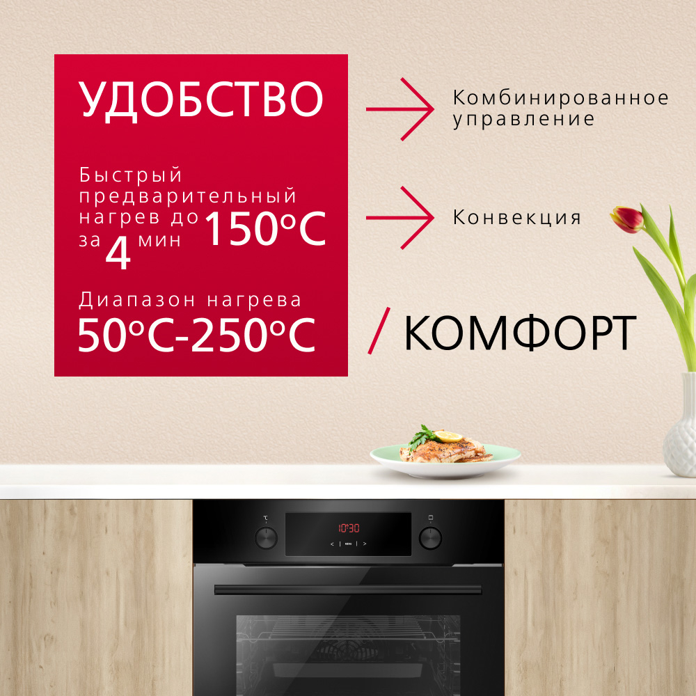 Духовой шкаф Hansa BOES68441