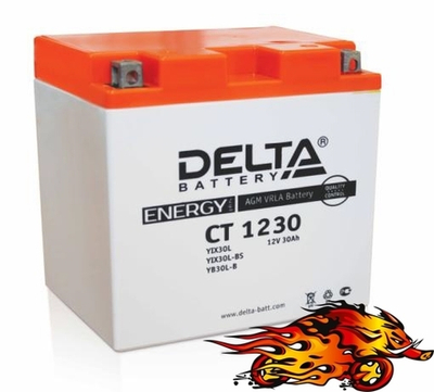 Аккумулятор для квадроцикла "Delta" CT 1230 (YIX30L-BS)