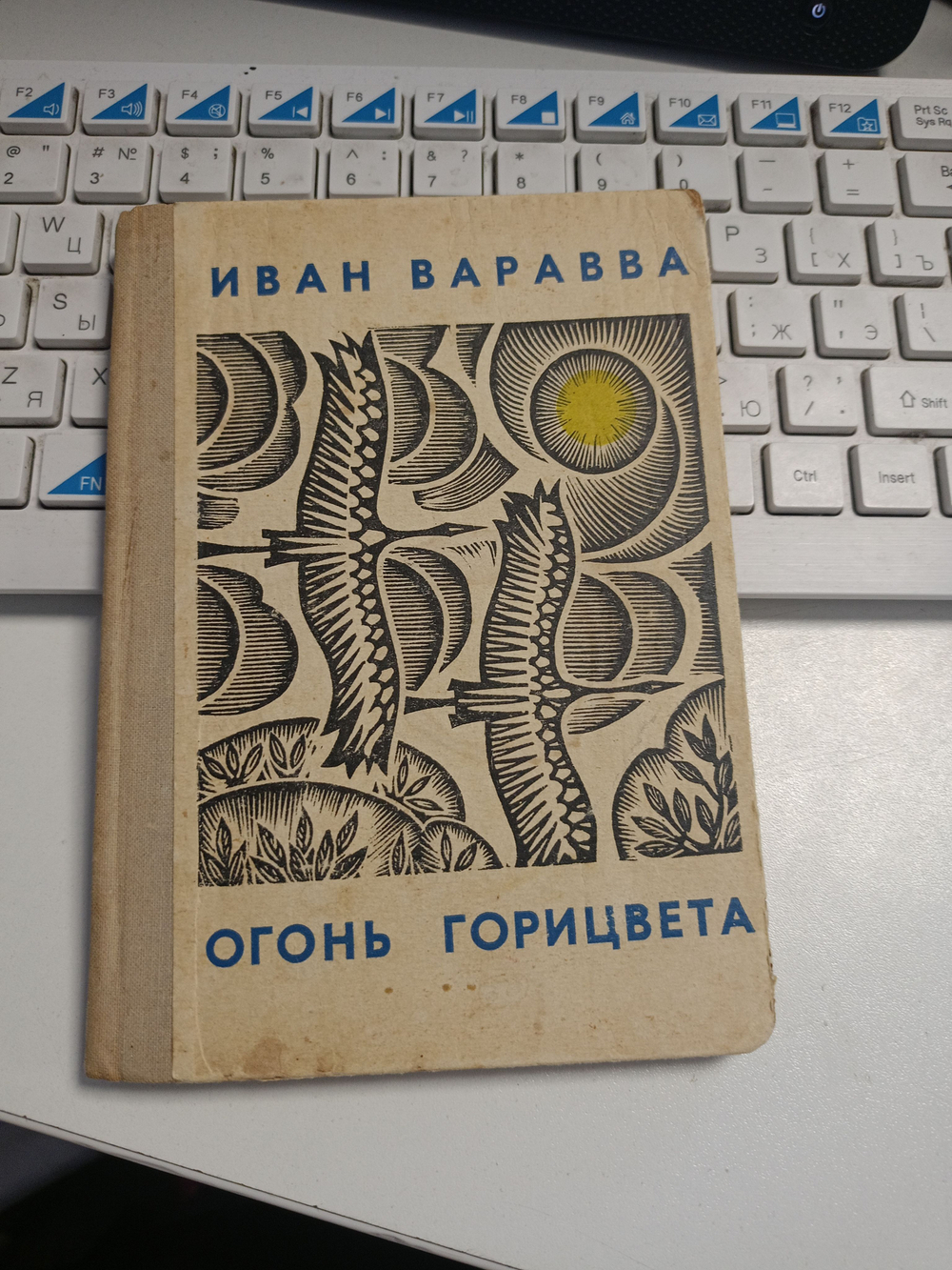 Огонь горицвета
