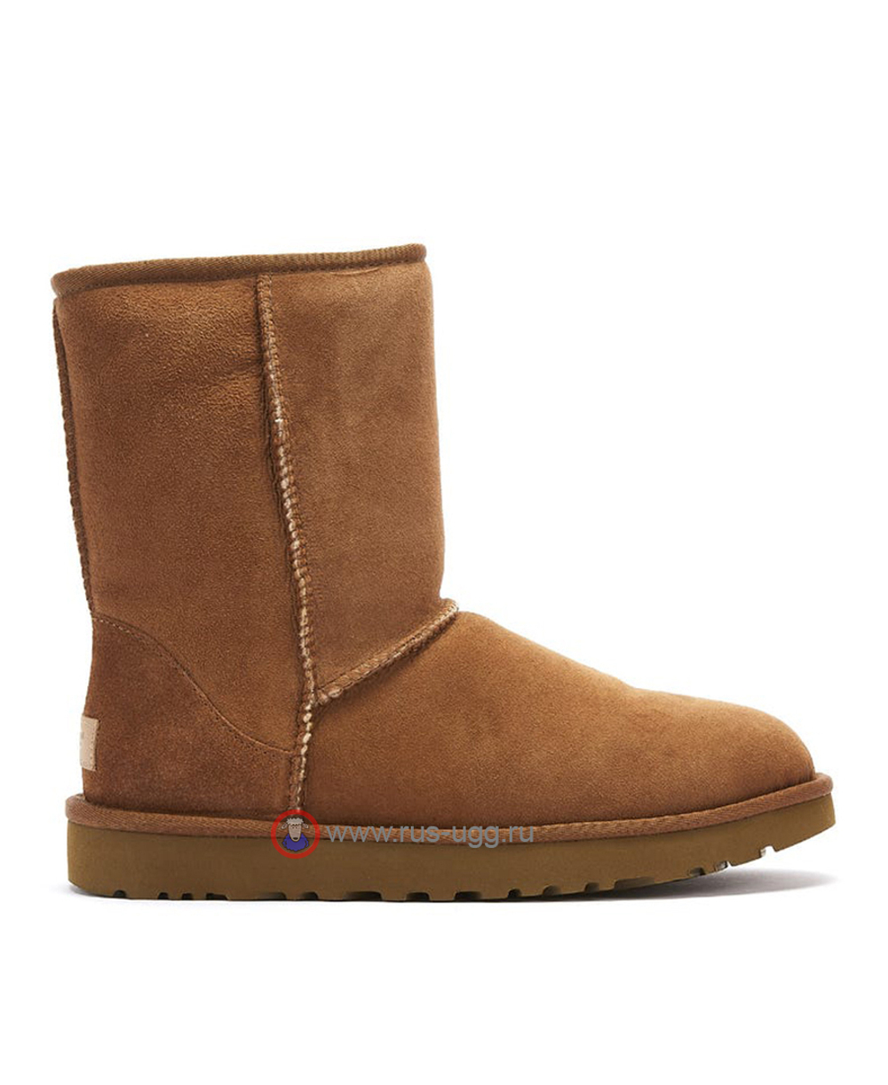 CLASSIC SHORT MEN II Chestnut