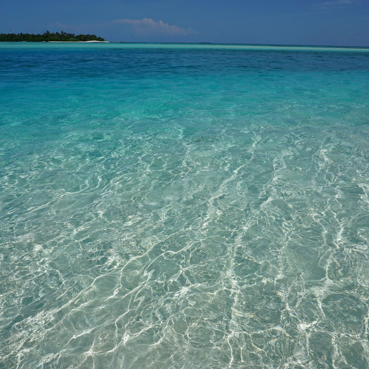 Путешествуйте с нами!
