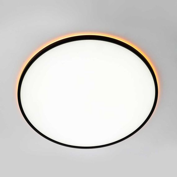 Потолочный светильник Citilux NORMA CL749601