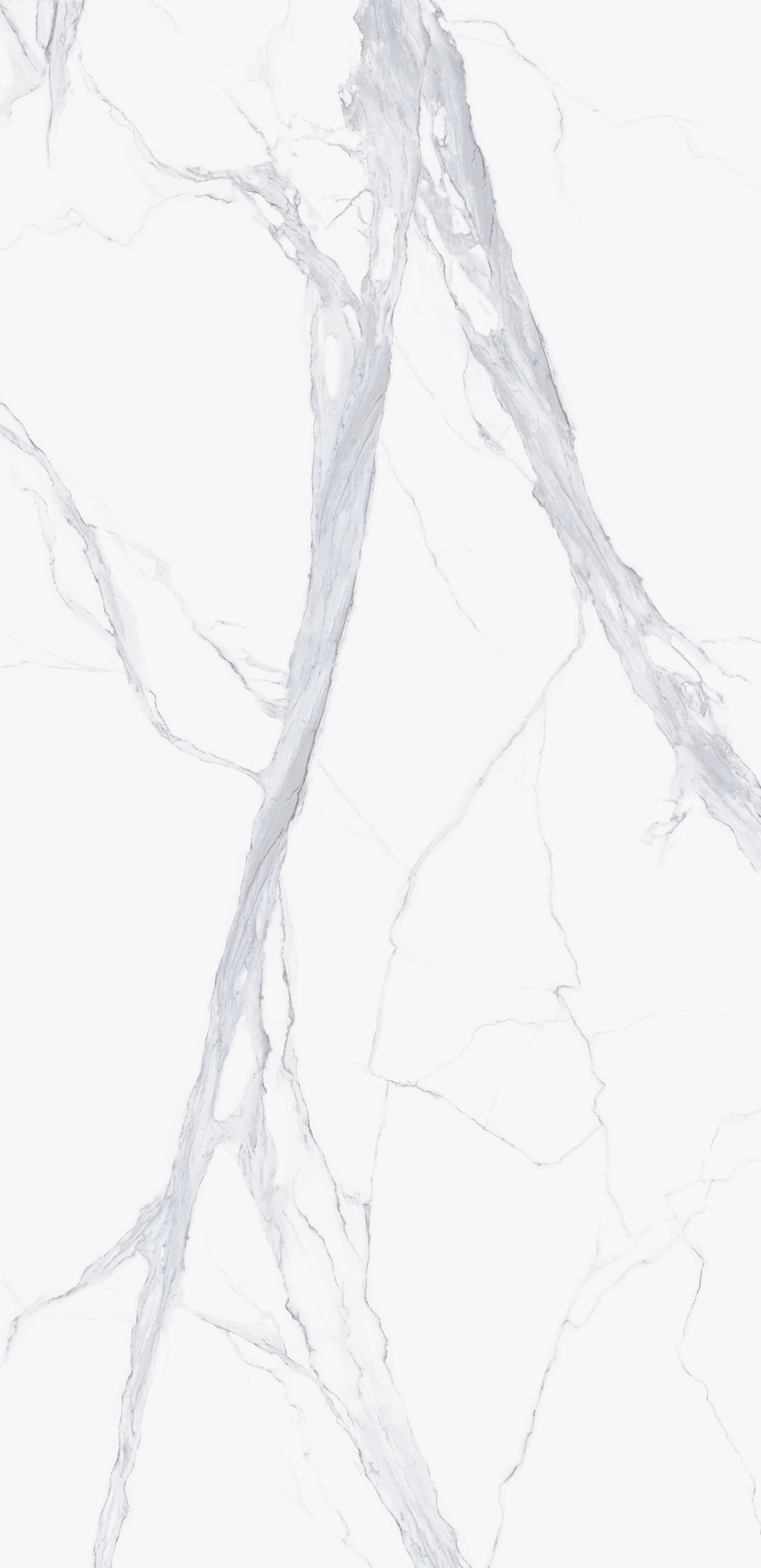 SUPER ARABESCATO CORCHIA