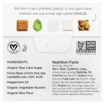 Simply Gum, Chewing Gum, Peppermint, 15 Pieces