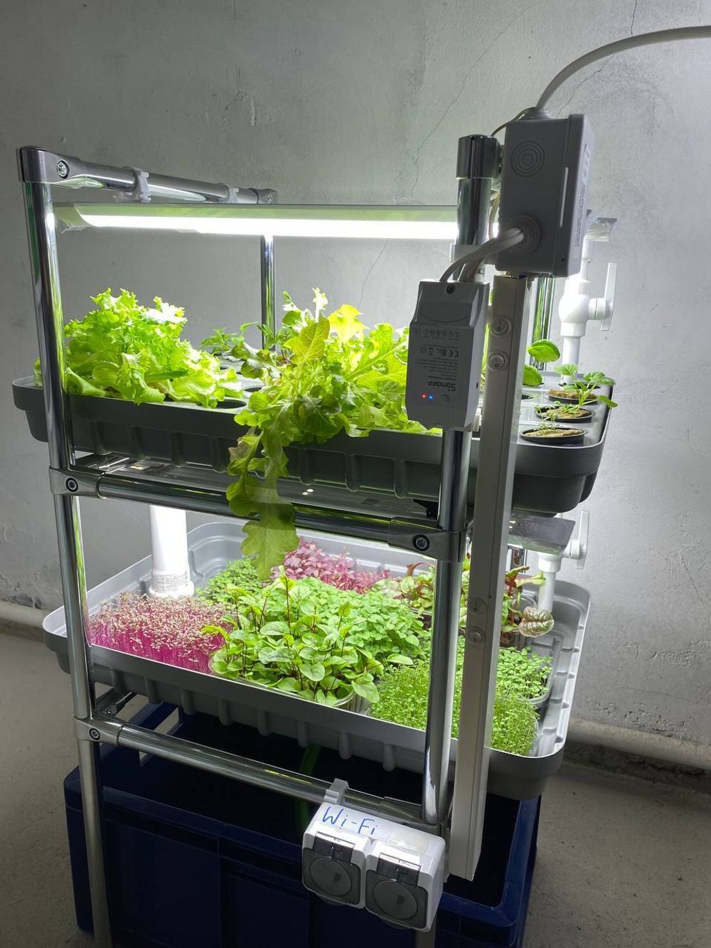 Домашняя гидропонная установка