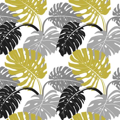 листья монстеры на белом