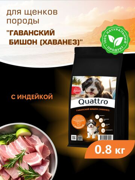 Корм сухой для щенков породы Гаванский бишон (Хаванез), с индейкой, 800 гр, QUATTRO