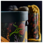 Набор коробок для хранения IKEA HOSTAGILLE (ХЕСТАГИЛЛЕ), Разноцветный, 2 шт