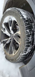 Audi Q8 Sport 45 TDI quattro tiptronic