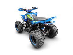 Квадроцикл YACOTA TYPHOON 250