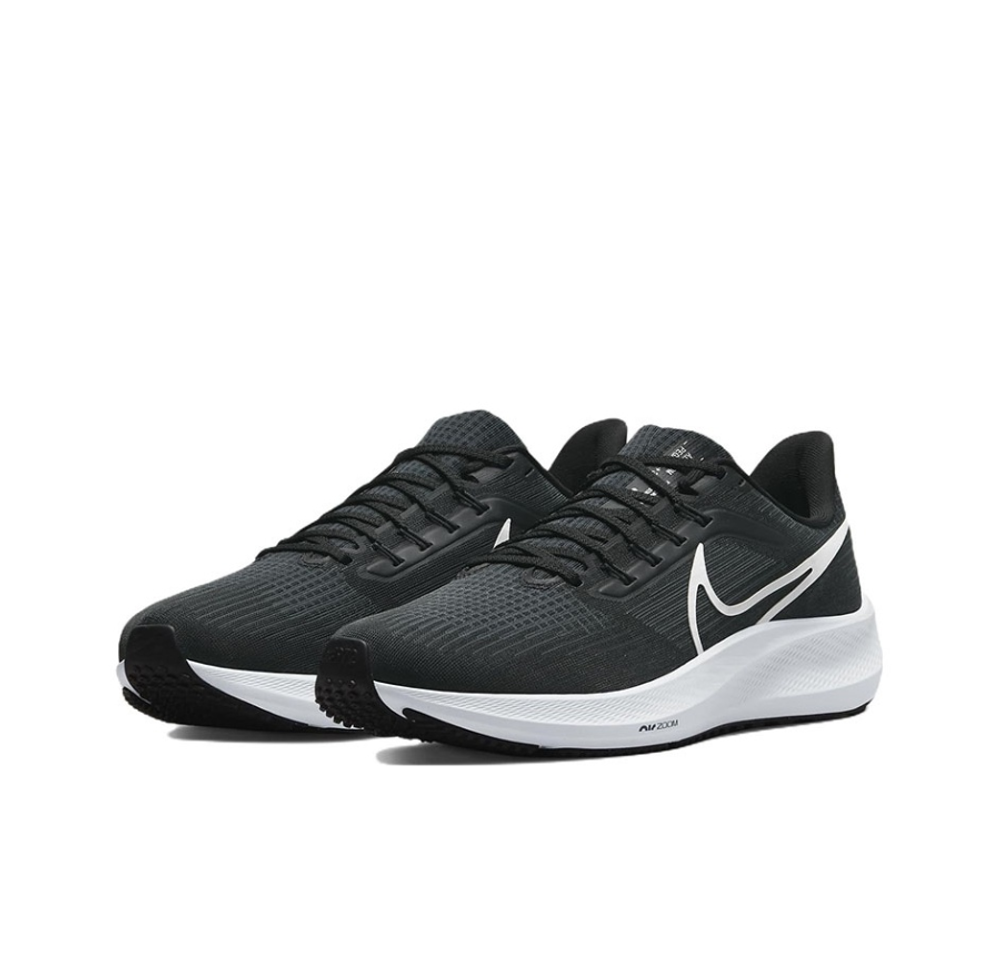 Кроссовки Nike Air Zoom Pegasus 39 DH4071-001