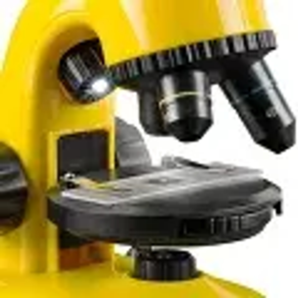 Микроскоп Bresser National Geographic 40x-800x с держателем для смартфона