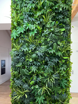 Фатсия куст 45 СМ