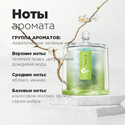 Диффузор ароматический для дома с минералами ВЕСЕННИЙ ДОЖДЬ