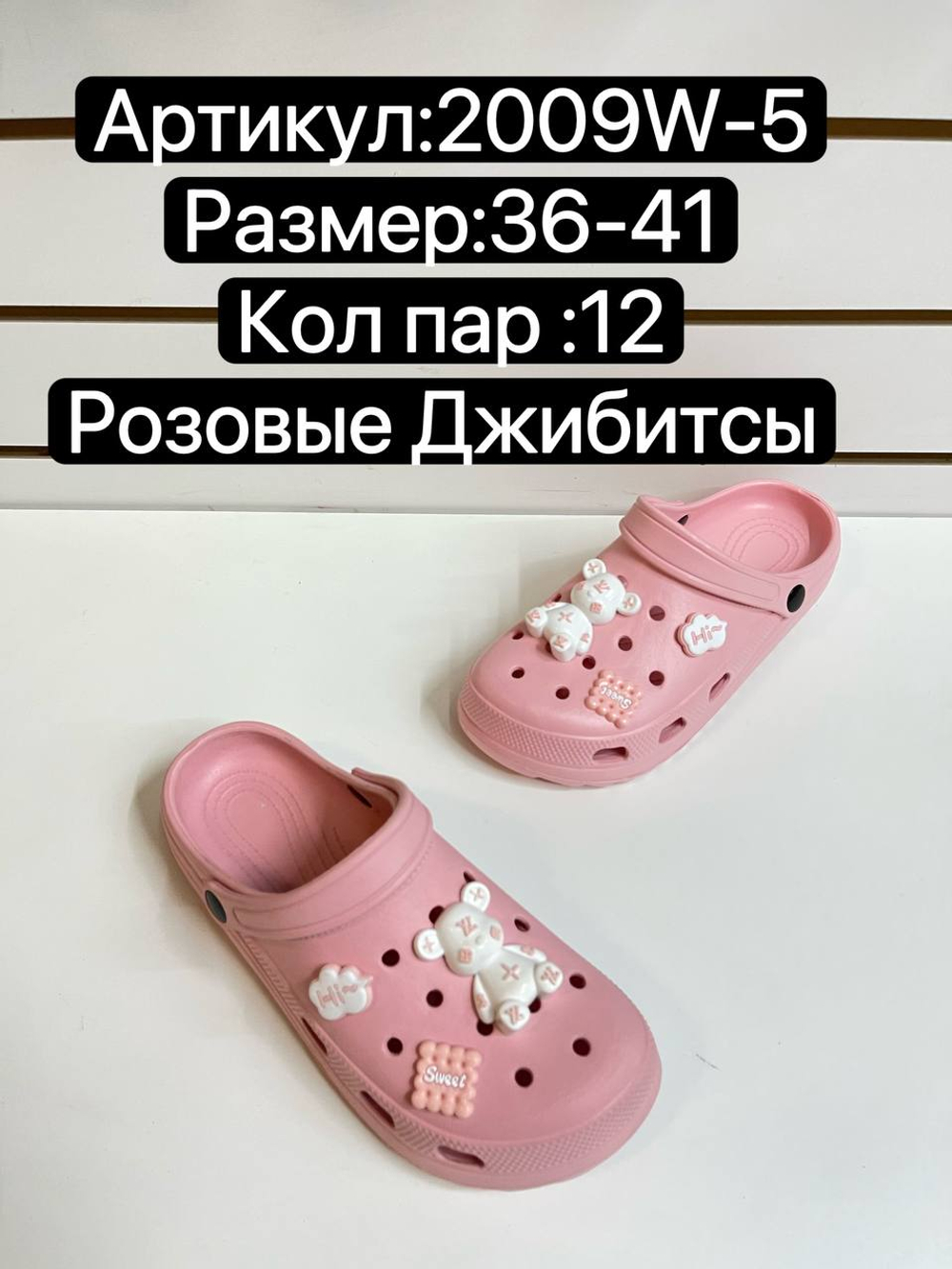 Сабо по 12 пар (36-41)р. 2009W-5