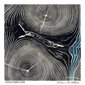 Needtobreathe / Rivers In The Wasteland (CD)