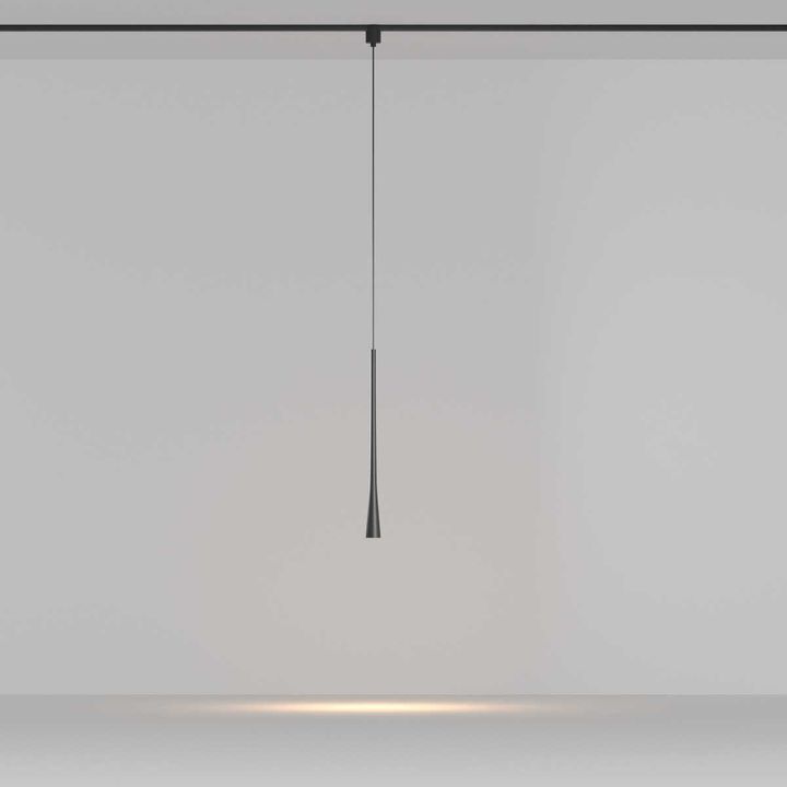 Трековый подвесной светильник Maytoni Technical TR167-1-7W3K-M-B