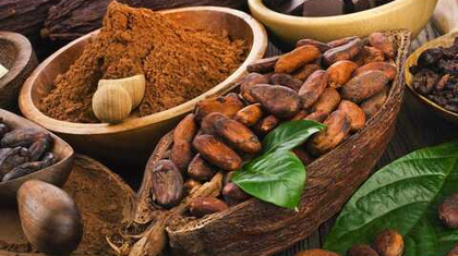 Отбор бобов и критерии качества