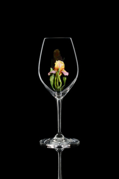 Бокал для шампанского Ридель. Ирис желто-розовый.