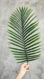 Пальма Хамедорея 160 см без кашпо / Арт 3092