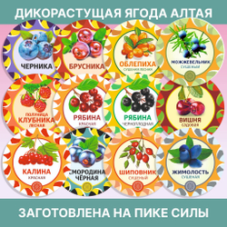 Исландский мох цетрария, 100 г.