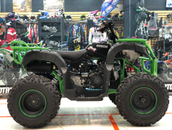 AVANTIS HUNTER 200 баланс.вал 2021г (Черный/Зеленый)