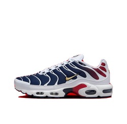 Мужские кроссовки Nike Air Max Plus 'PSG' FZ4776-100