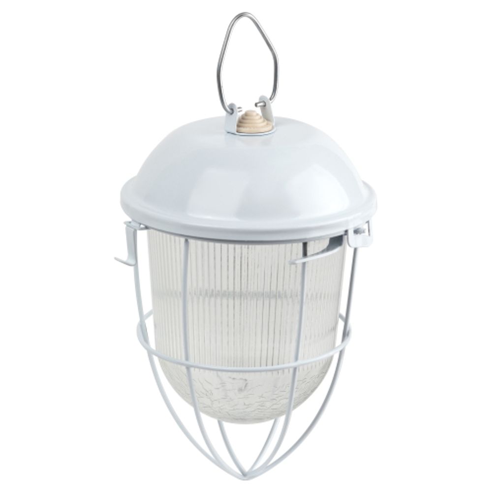 Светильник ЭРА НСП 02-100-003 с решеткой Желудь сталь стекло IP54 E27 max 100Вт 172х262х275 белый