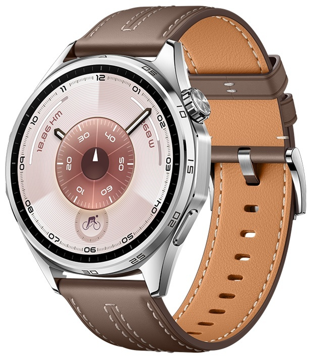 Смарт-часы Huawei WATCH GT 6 46 мм серебристый-коричневый