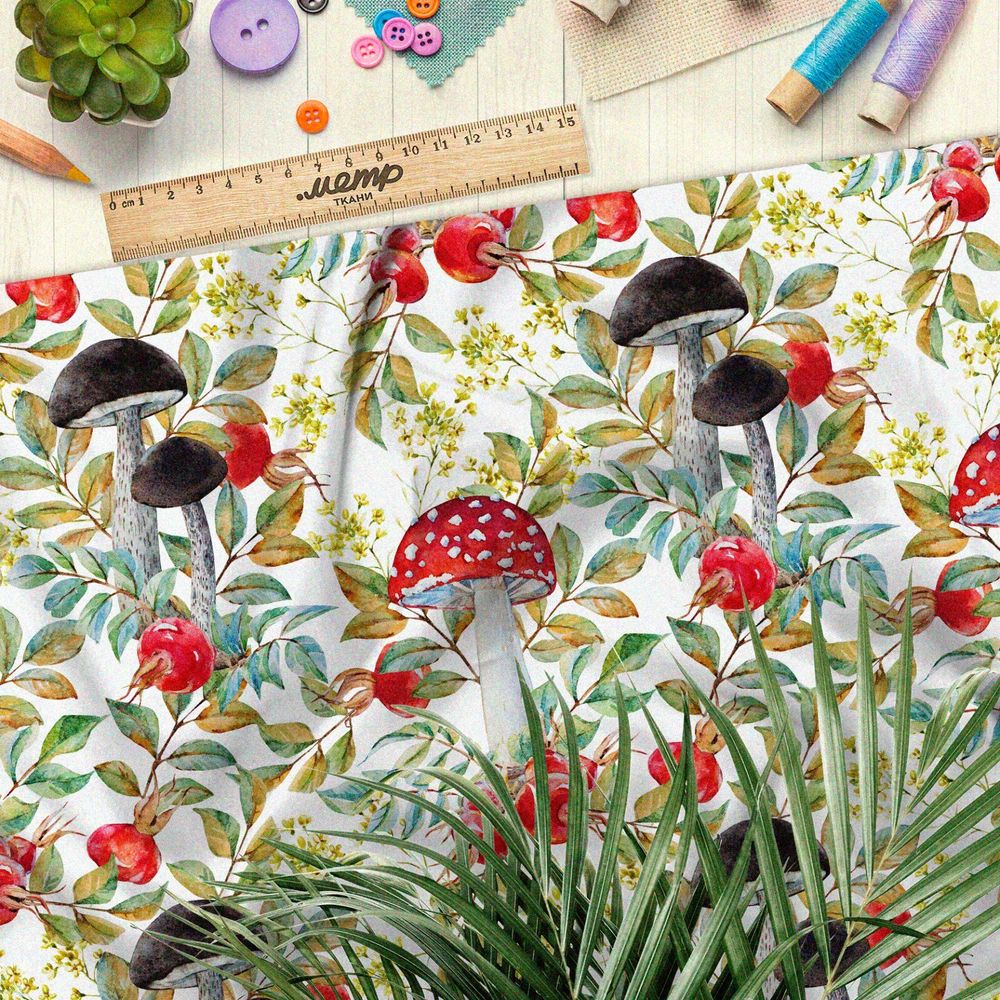 Ткань мембрана крупные лесные грибы и клюква