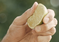 Dr. Vranjes Ginger Lime спрей-ароматизатор воздуха (аромат имбирь лайм)